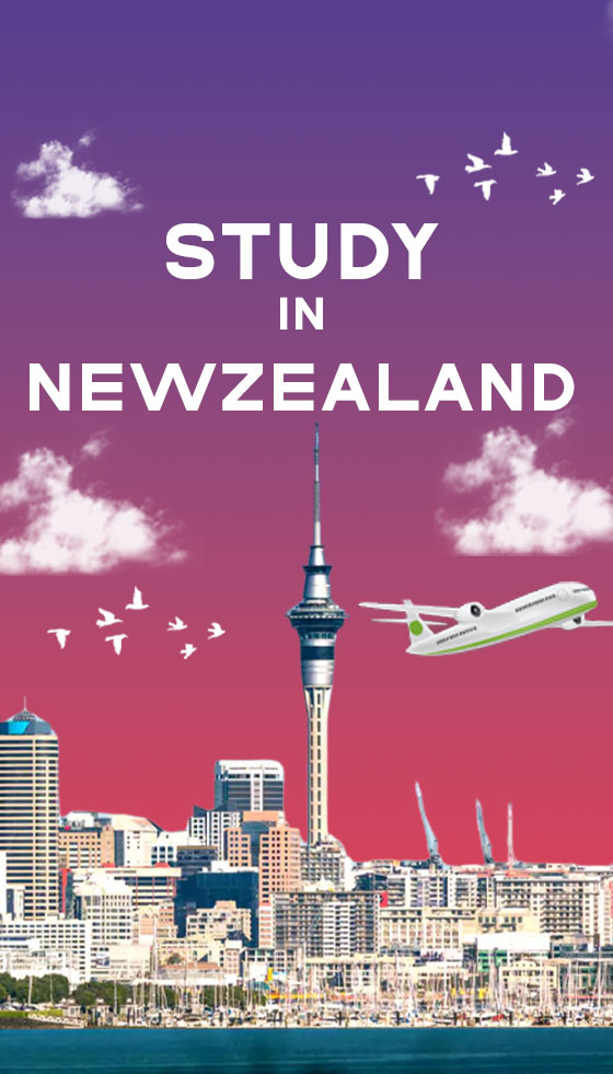 study-newzland